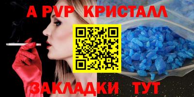 индика Будённовск