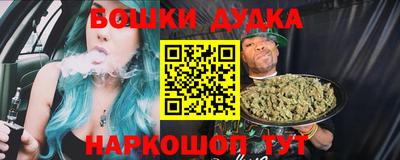 индика Будённовск