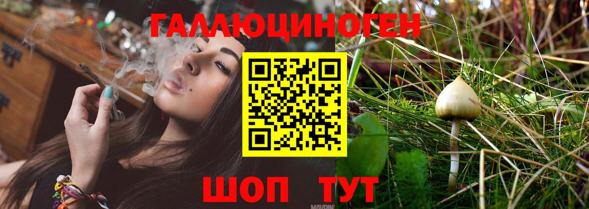 Галлюциногенные грибы Magic Shrooms  Вход с VPN  Минусинск  Галлюциногенные грибы Cubensis 